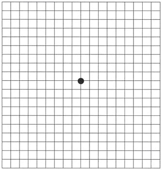 amsler Grid